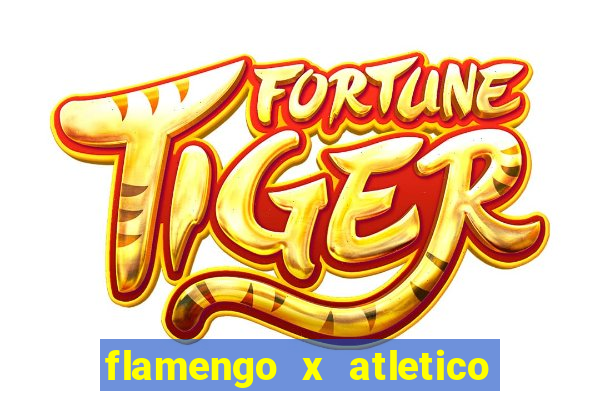 flamengo x atletico mineiro futemax